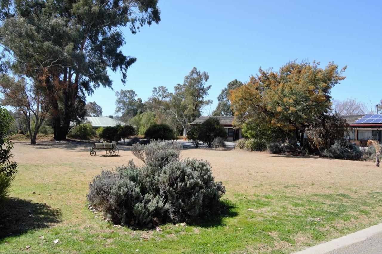 Civic Motor Inn Cowra Exterior foto